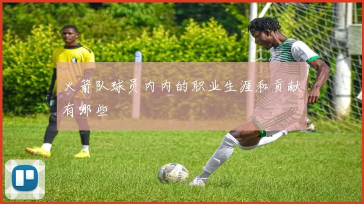 火箭队球员内内的职业生涯和贡献有哪些