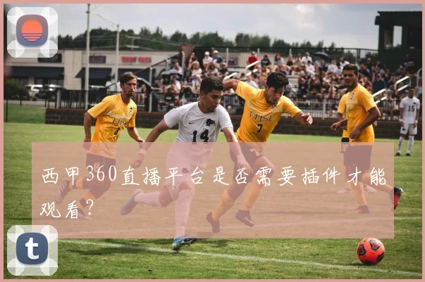 西甲360直播平台是否需要插件才能观看？