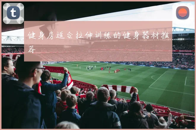 健身房适合拉伸训练的健身器材推荐