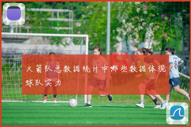 火箭队总数据统计中哪些数据体现球队实力