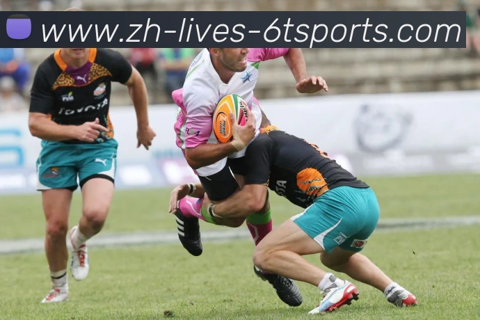 6T体育平台生态图